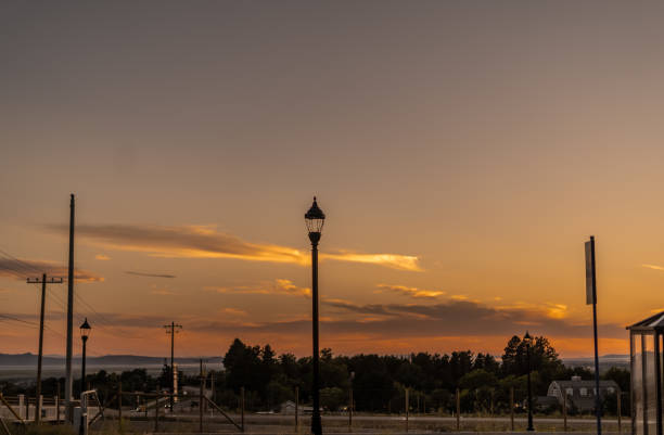 istock Peaceful Duck Traffic Light Sunset Clouds 1557168397