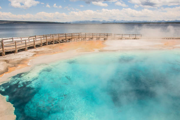 lago yellowstone e sorgenti termali - natural basin foto e immagini stock