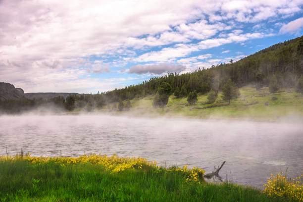 vapore caldo sul fiume a yellowstone - yellowstone national park nature textured natural basin foto e immagini stock