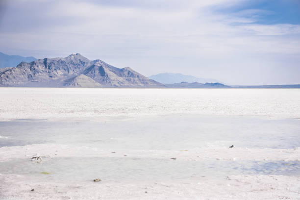 istock Water on the Salt Flats 1557172101