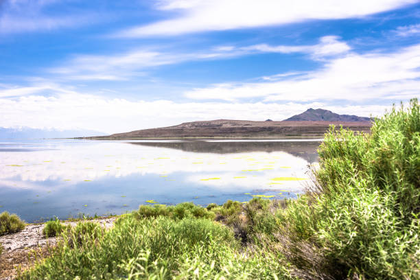 istock Antelope Island and Great Salt Lake 1557172649
