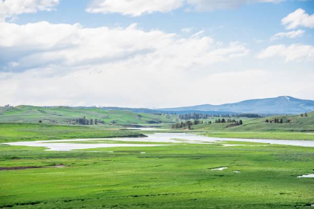 Hayden Valley, Yellowstone National Park