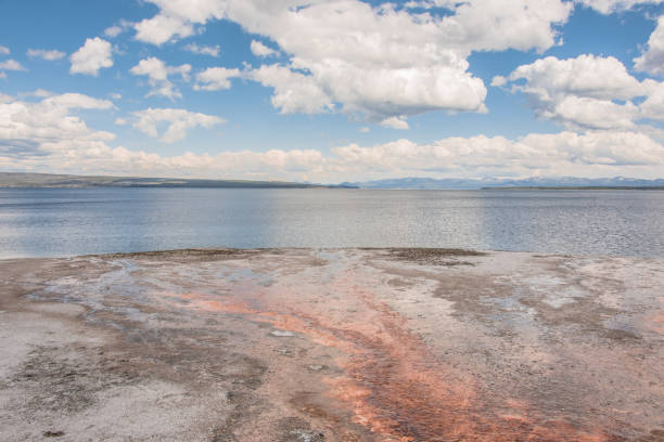 lago di yellowstone - yellowstone national park nature textured natural basin foto e immagini stock
