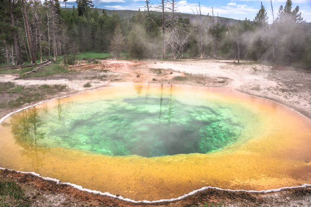 morning glory flower shape hot spring pool - yellowstone national park nature textured natural basin foto e immagini stock
