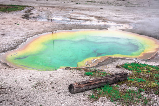 piscina termale dai toni gioiello - yellowstone national park nature textured natural basin foto e immagini stock