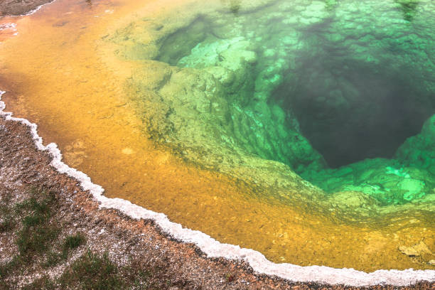 sorgente termale morning glory - yellowstone national park nature textured natural basin foto e immagini stock