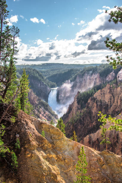 istock The Lower Falls of the Yellowstone River - Vertical 1557177355