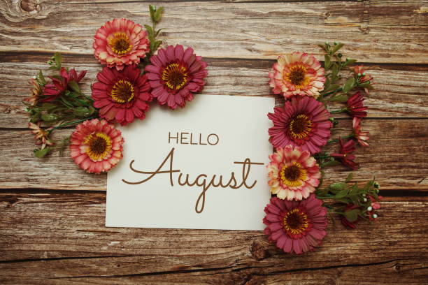 istock Hello August typography text with flowers on wooden background 1557260351