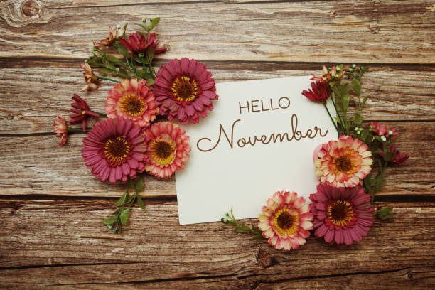 istock Hello November typography text with flowers on wooden background 1557260942