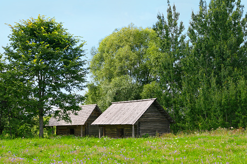Traditional herdsmen's settlement with pastures in the mountains (Pokljuka, Slovenia).