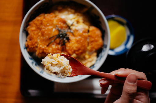 Japanese famous donburi food, Katsudon