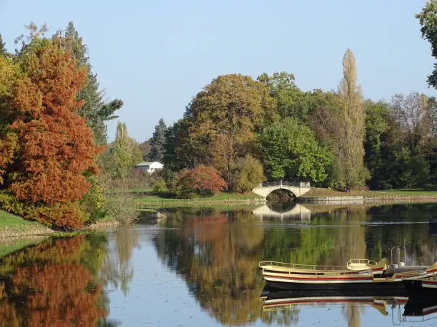 Autumn landscape with lake and rowing boat at WÃ¶rlitzer See near Dessau Germany