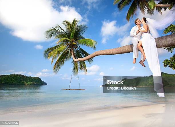 Paar Auf Einer Palme In Tropischen Wasser Stockfoto und mehr Bilder von Hochzeit - Hochzeit, Palme, Kuba