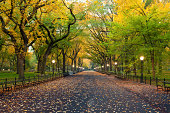 istock Central Park. 155731999
