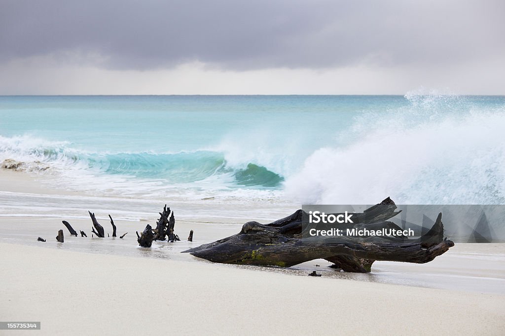Alte onde presso la spiaggia dei Caraibi - Foto stock royalty-free di Caraibi