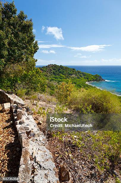 Old Fort Parete Con Vista Sul Mar Dei Caraibi - Fotografie stock e altre immagini di Acqua - Acqua, Albero, Albero tropicale