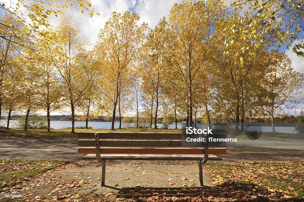 Banc par un lac, avec des couleurs d'automne - Photo de Arbre libre de droits