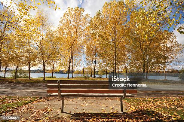 Photo libre de droit de Banc Par Un Lac Avec Des Couleurs Dautomne banque d'images et plus d'images libres de droit de Arbre - Arbre, Automne, Banc