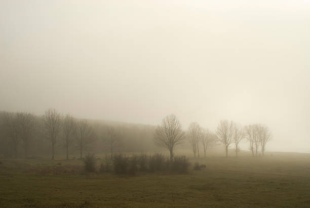 istock lake fog 155735795