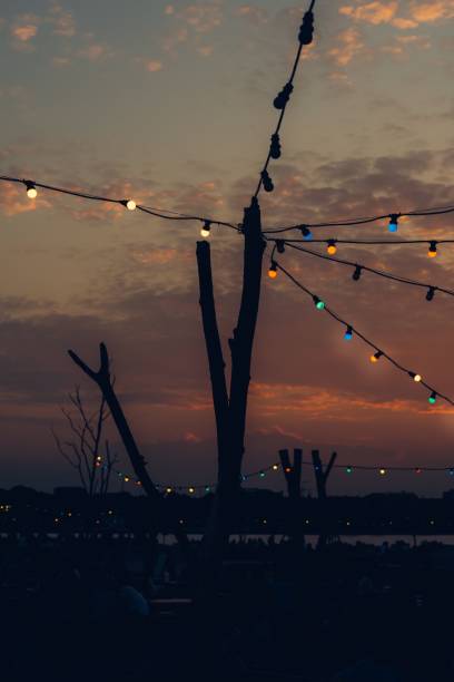 istock Tranquil view of the shoreline at dusk with string lights and tree branches against a distant sky 1557366056