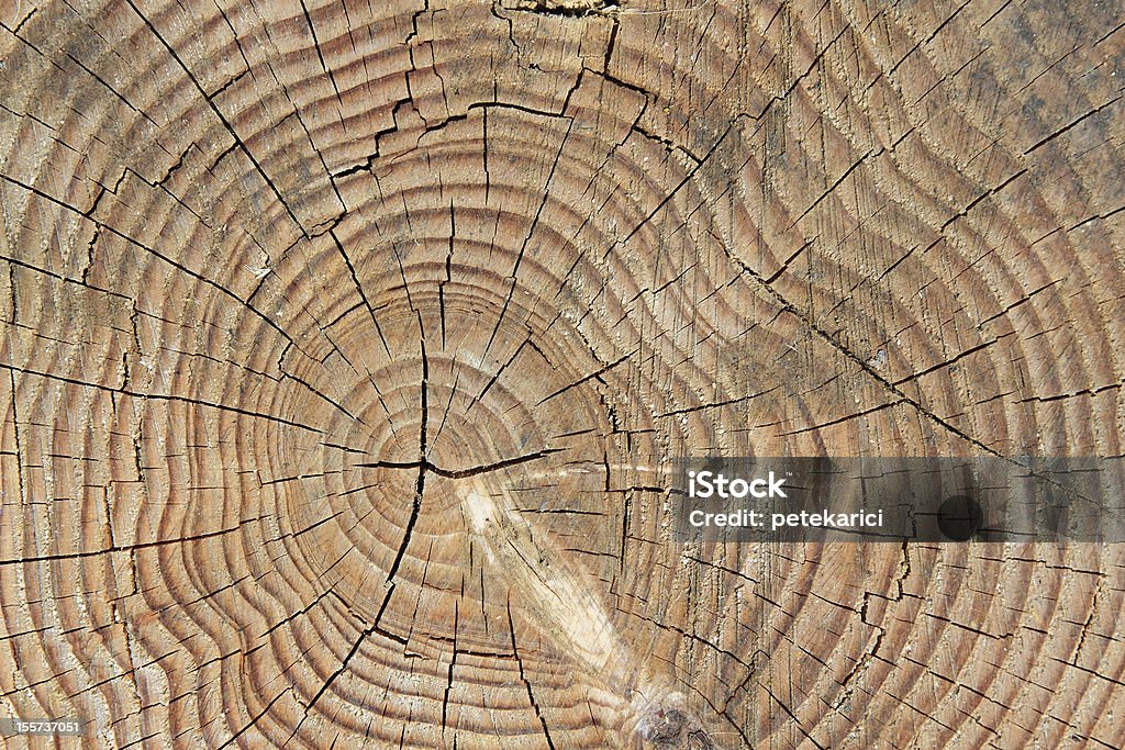 Textura de madera de corte - Foto de stock de Aire libre libre de derechos