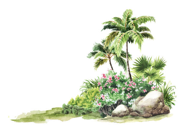istock Tropical plants composition. Landscape design element.  Hand drawn watercolor illustration isolated on white background 1557375583