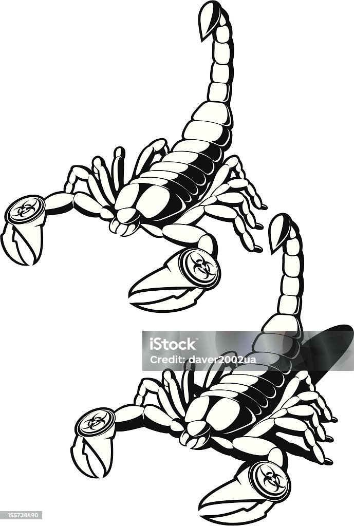 Vettore scorpione B & W - arte vettoriale royalty-free di Scorpione - Aracnide