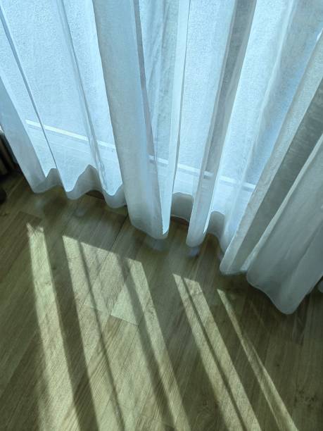 istock Striped pattern on the wooden floor. 1557403150