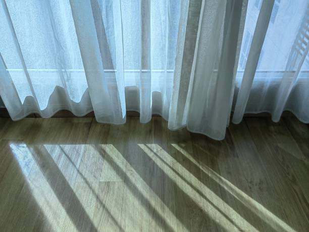 istock Striped pattern on the wooden floor. 1557403683