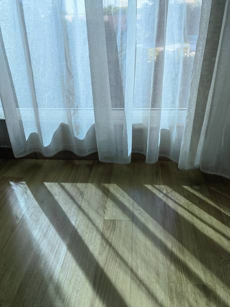 istock Striped pattern on the wooden floor. 1557404192