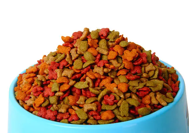 Dry pet food in bowl isolated on white background