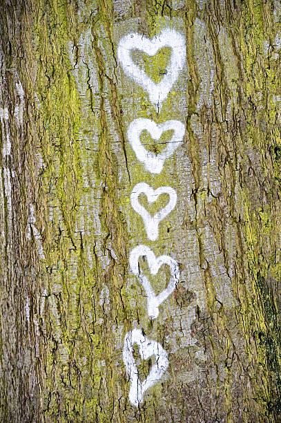 istock Five hearts painted on the bark of a tree 155742433