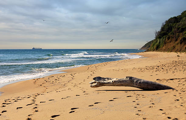 Irakli beach on the Bulgarian Black Sea Coast, one of the last \