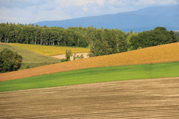 Autumn hilly farmland