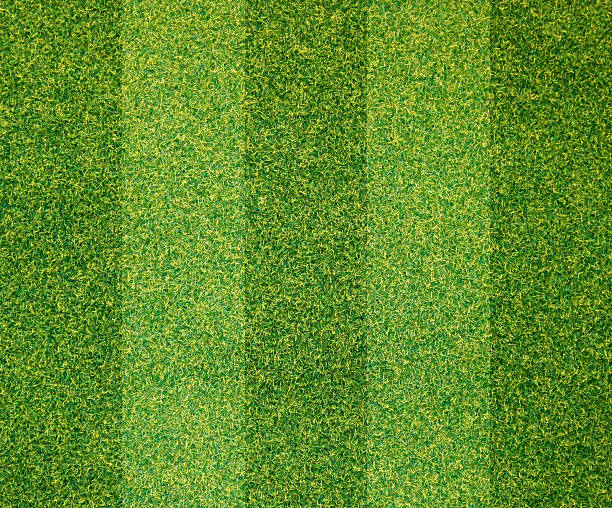 Artificial grass background Artificial grass background artifical grass stock pictures, royalty-free photos & images