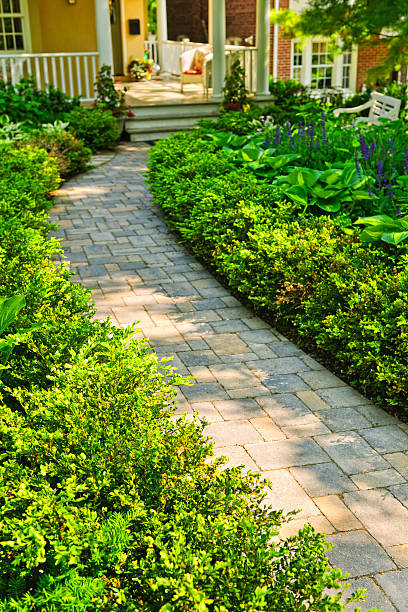 istock Stone path in landscaped home garden 155744950
