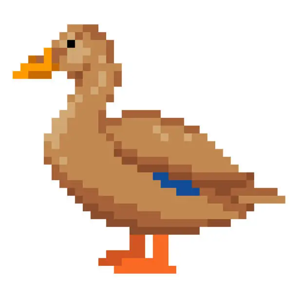 Vector illustration of Pixel art duck. Bird retro video game asset. Animal vector illustration.