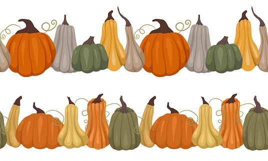 Set of vector seamless border with pumpkins. Collection of autumn frieze with vegetables isolated from the background. Nature pattern for dividers, invitations and brush samples.