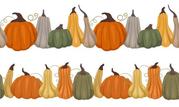 Vector illustration of Set of vector seamless border with pumpkins. Collection of autumn frieze with vegetables isolated from the background. Nature pattern