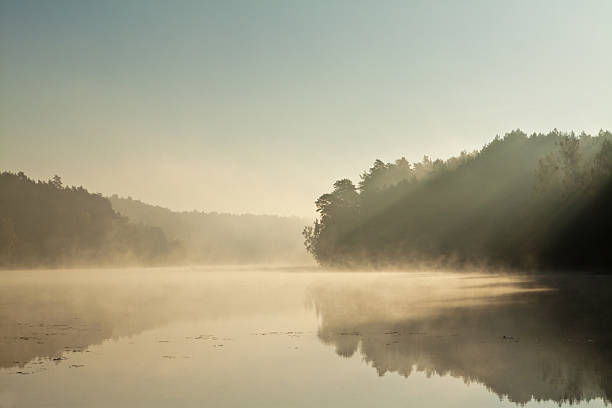 istock Beautiful dawn at lakeshore 155746408