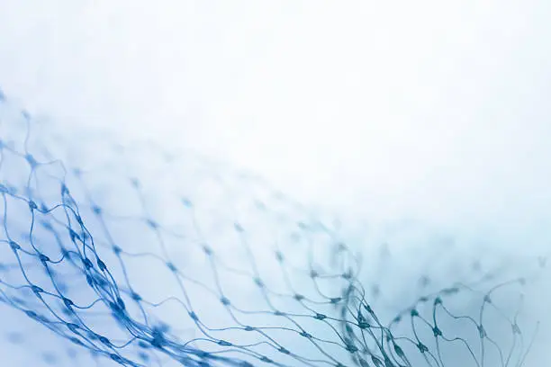 Photo of Close up of fine blue netting fading into white background