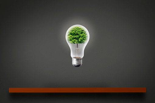 Close-up of light bulb with a camphor tree inside, floating in mid-air from shelf, against dark concrete wall.
Concept of clean energy and Sustainable environment.