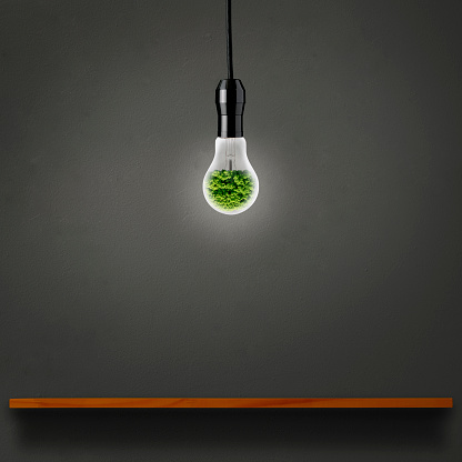Hanging a light bulb with a camphor tree inside, over the empty shelf against dark concrete wall with copy space.
Concept of clean energy and Sustainable environment.