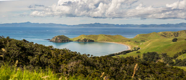 Looking down to Port Jackson, New Zealand stock photo