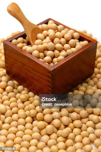 Getrocknete Soybeans Stockfoto und mehr Bilder von Fotografie - Fotografie, Getreide, Getrocknete Speise