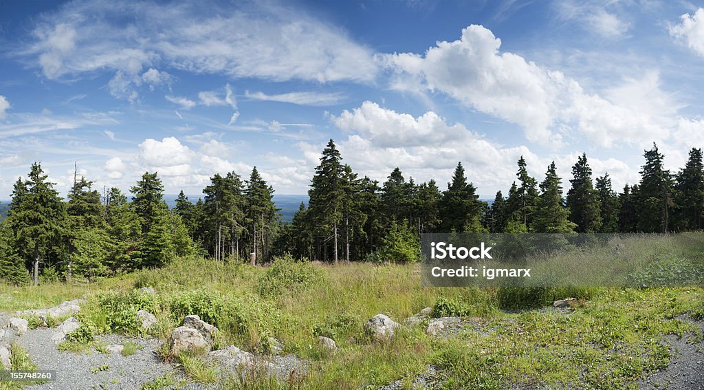 Panorama da Montanha Harz - Foto de stock de Alemanha royalty-free