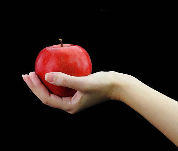 istock Female hand holding fresh apple 155748704