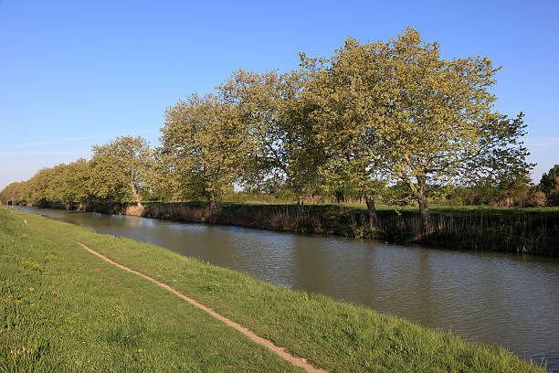 istock Canal du Midi, France 155748798