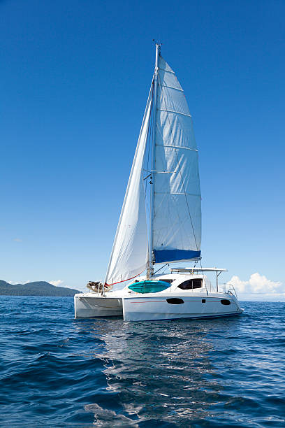 istock Catamaran at sea 155749133