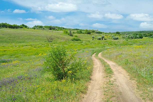 istock Lonely track in flowering steppe 155751412